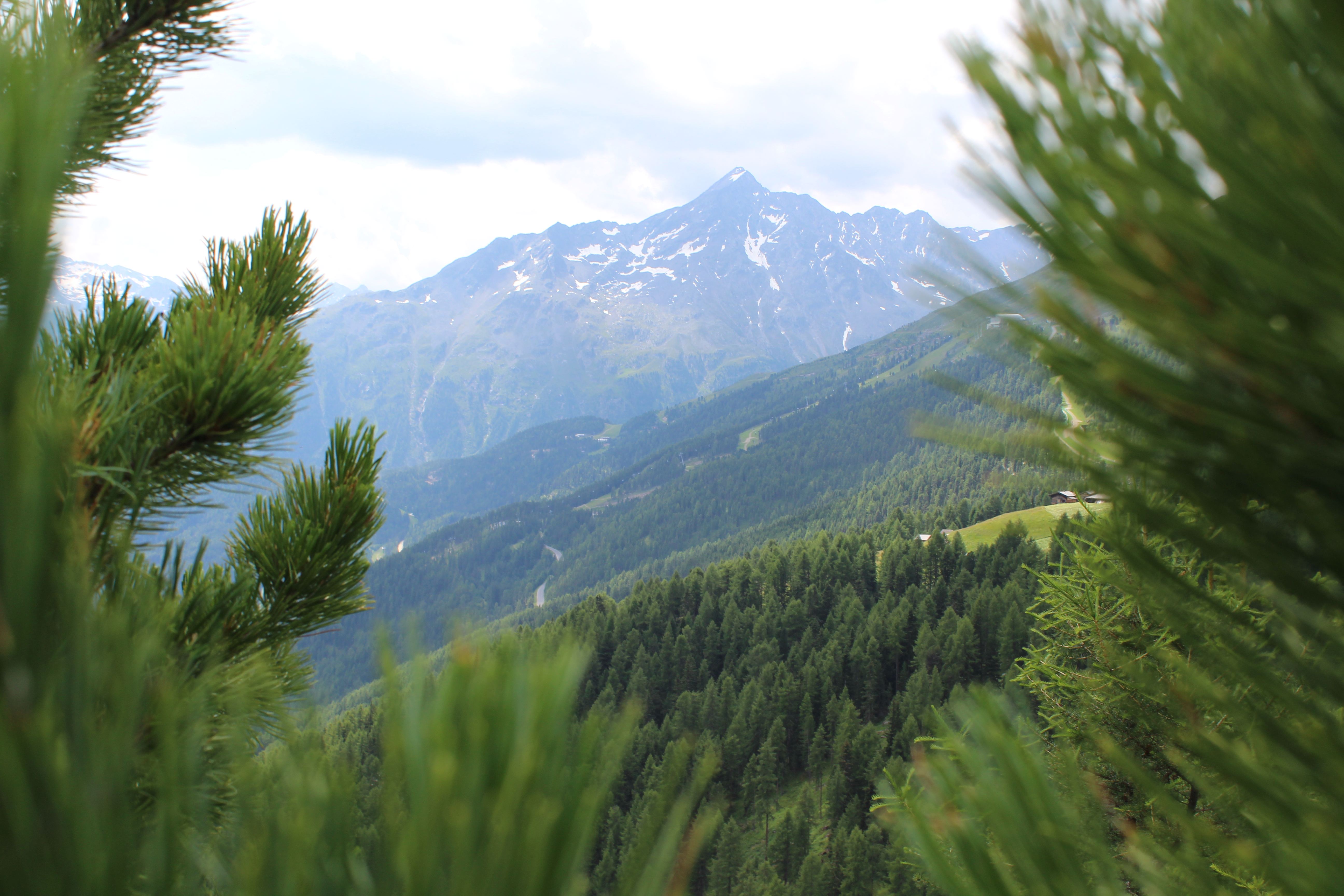 Landschaftsprojekt